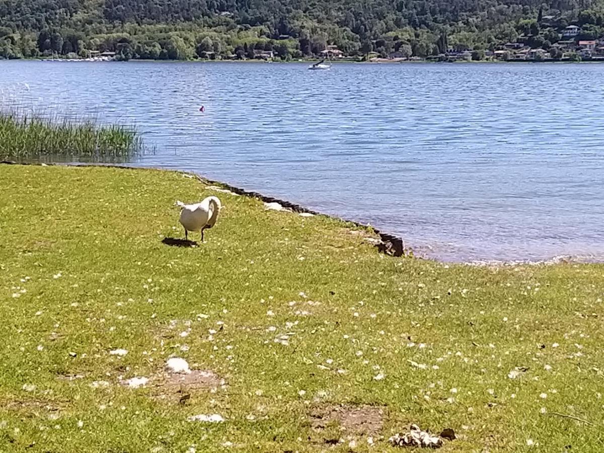 Ritratto Sul Lago Dormelletto Ngoại thất bức ảnh